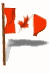 канадский флаг