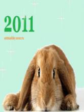 кролик 2011