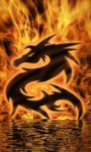 огненный дракон