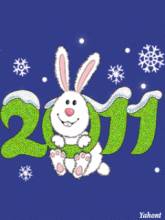 кролик 2011