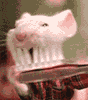 Аватарка Мышонок чистит зубки