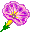маленький фиолетовый цветок