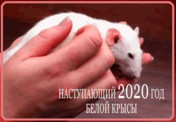 открытка наступающий 2020 год крысы