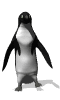 пингвин танцует