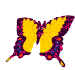 бабочка машет крыльями