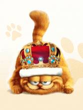 кот с короной на голове