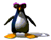 аватарка пингвин