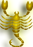 зодиак скорпион