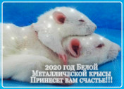 открытка  2020 год крысы