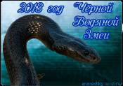 2013 год чёрной водяной змеи