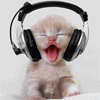 котёнок в наушниках поёт