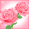 Аватарка-красивые розы