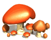 семейство грибов